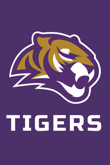 Full Color | Car Decal - Spencer Tigers